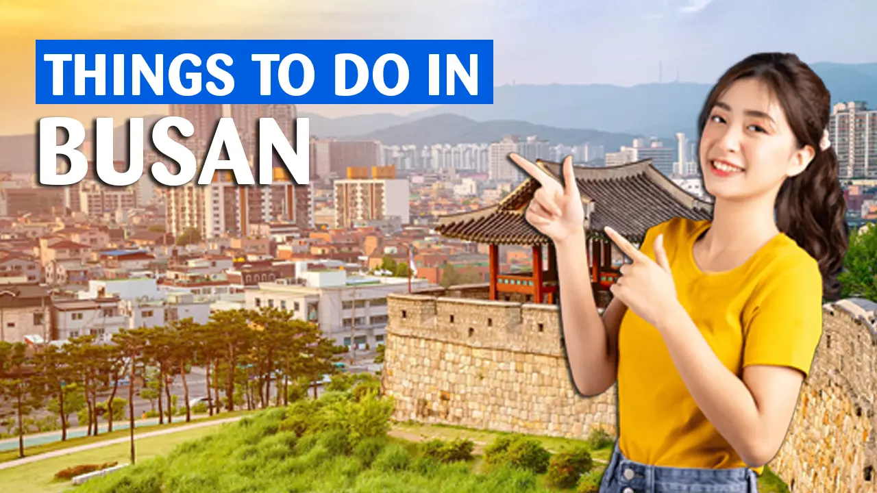 tourists roaming around busan happy tourists roaming around busan happy