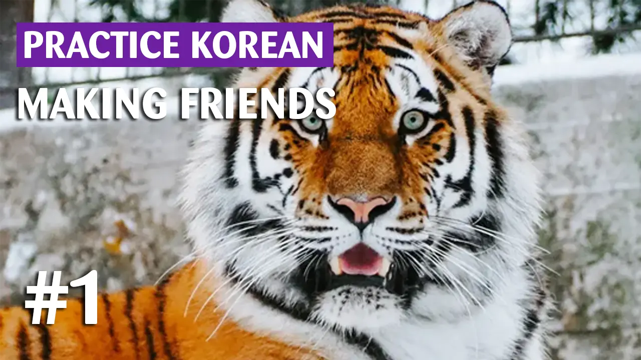 A korean tiger wants to learn korean A korean tiger wants to learn korean